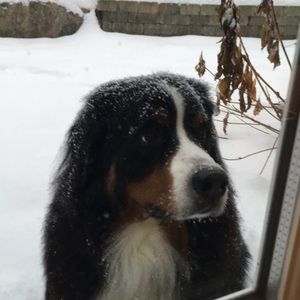 Meet your Posher, Jay